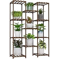 25899　植物棚 楽天市場】【50％OFFクーポン配布中】 植物ラック 植物棚