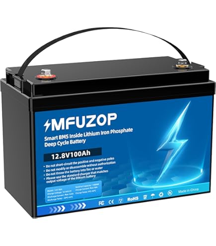 Amazon.co.jp: DATOUBOSS リン酸鉄リチウムイオンバッテリー 12v 100ah