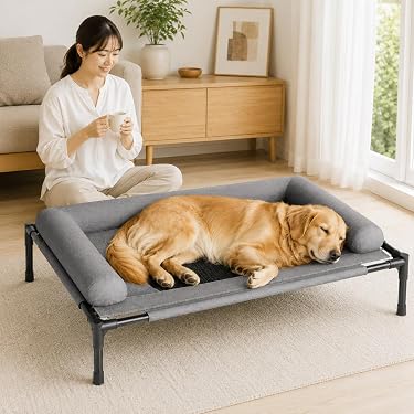 Amazon.co.jp 最新リリース: 犬用ベッド・クッション の新着ランキング