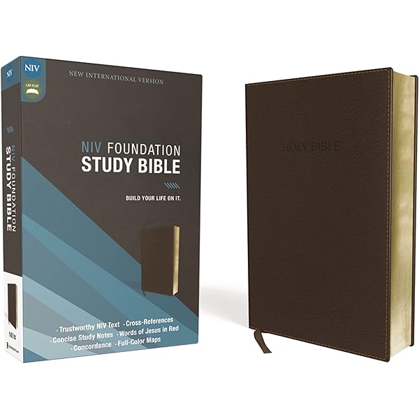 Amazon.co.jp: Life Application Study Bible: New International