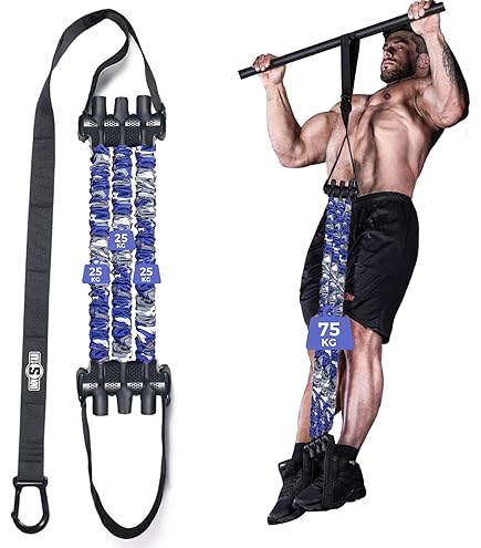 Amazon.co.jp: TEDDY WORKS KENSUI kaku 専用トレーニングベンチ 耐