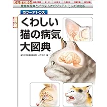 71GB-fzJGOL._AC_UL210_SR210,