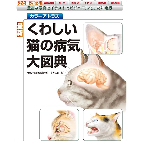 イラストでみる猫の病気 (KS農学専門書) | 小野 憲一郎, 今井 壯一, 多