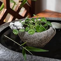 パン型　プランター　アイアン　検）多肉植物　什器　観葉植物　ＤＩＹ　店舗　カフェ 71GBey1qNML._AC_UL210_SR210,