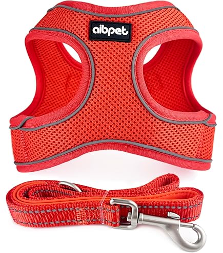 Amazon | AVIATORペットの鳥ハーネス: 大きいサイズパープル | The