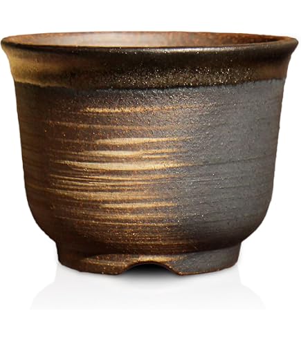 Amazon.co.jp: 盆栽妙 植木鉢 陶器鉢 盆栽鉢 山野草鉢 3.5号 ブラック