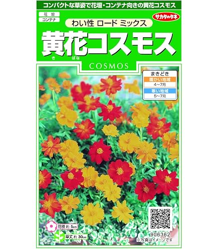 Amazon.co.jp: スワングリーンコスモスの種子、素晴らしいレインボーコ