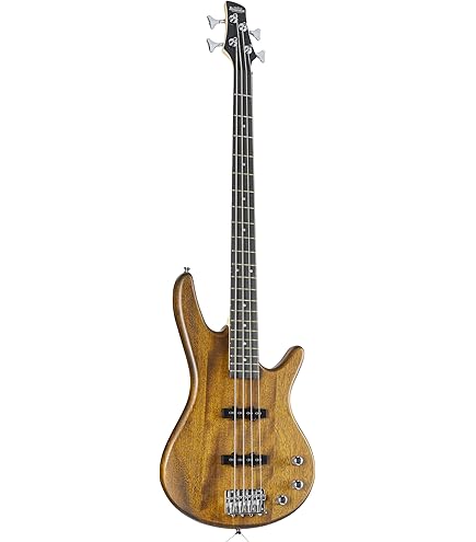 Amazon | Ibanez アイバニーズ SR305-IPT エレキベース | エレキベース 