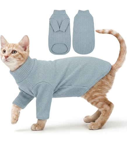 Amazon.co.jp: なめ猫 レトロ なめんなよ猫 下敷き ！ : ペット用品