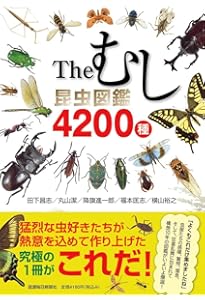 新版 昆虫探検図鑑1600 | 川邊透 |本 | 通販 | Amazon