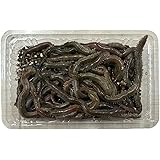 横溝商会 青イソメ 50g パック (中)
