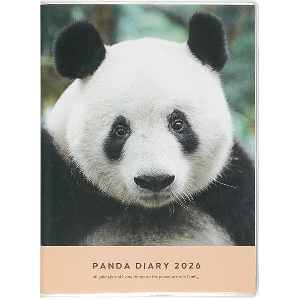 パンダちゃん: 菅野ぱんだ写真集 | 菅野 ぱんだ |本 | 通販 | Amazon