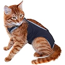 LEPSJGC ペット猫回復スーツ Lサイズ LEPSJGC ペット猫回復スーツ Lサイズ