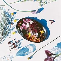 Amazon.co.jp: シャイトープ, -, - : 【Amazon.co.jp限定】WELCOME TO