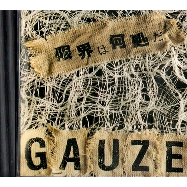 Amazon.co.jp: EQUALIZING DISTORT: ミュージック