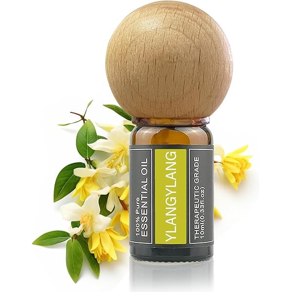 生活の木JASMINE SAMBAC Abs.(10%) 10ml 2本セット Amazon.co.jp: 生活の木 ジャスミンサンバック Abs. 10%希釈