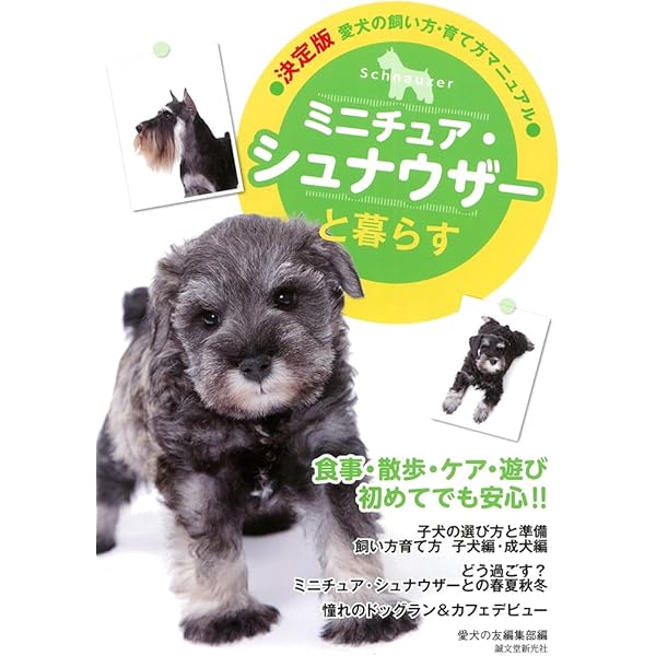 Wan 2021年 3月号 (特集:シュナウザー)[雑誌] |本 | 通販 | Amazon