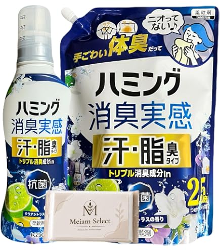 Amazon | 花王 ハミング消臭実感 汗・脂臭タイプCシトラス詰替特大