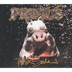 PRIMUS / ANTIPOP レコード 2枚組 71iIZYYhnnL._UF1000,1000_QL80_.jpg