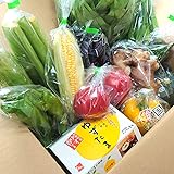高知県産 野菜たっぷり10品目以上＋たまご「ゆずたま」野菜セット 【採れたて 旬の新鮮お野菜 おまかせ詰め合わせ】