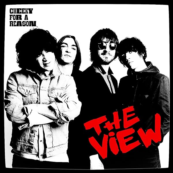 The View　『Which Bitch?』　レコード　LP The View – Which Bitch? | Releases | Discogs