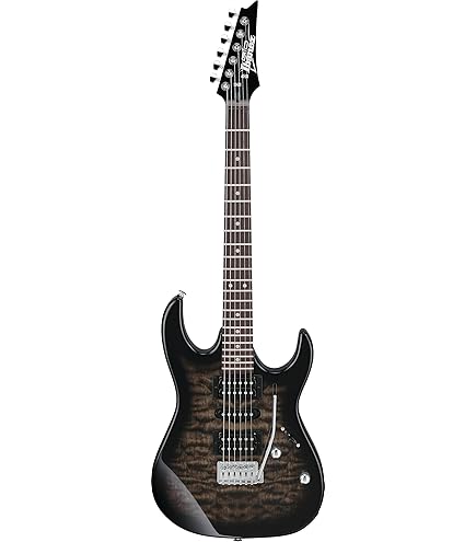 Amazon | Ibanez(アイバニーズ) GIOシリーズ エレキギター Black Night
