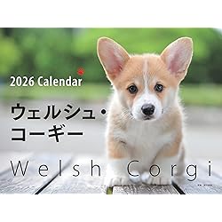 コーギースタイル vol.49 (タツミムック) | 辰巳出版 |本 | 通販 | Amazon