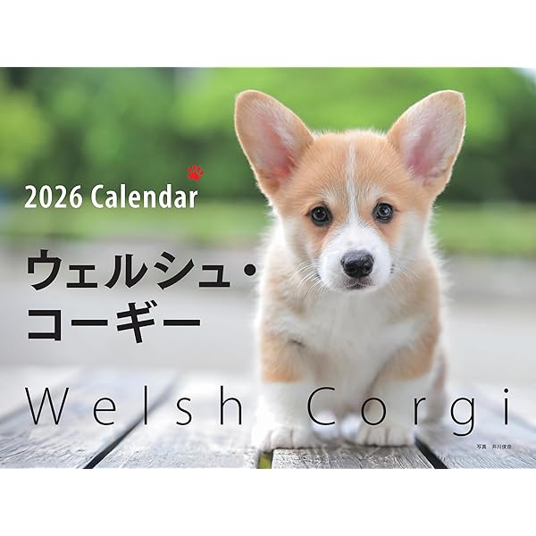 コーギースタイル vol.48 (タツミムック) | 辰巳出版 |本 | 通販