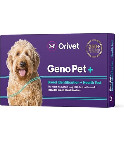 Dna Testing Kit Ancestry AffinityDNA Dog Breed DNA Test Kit For 350+ Breeds By Percentage Dog Dna Testing Kit