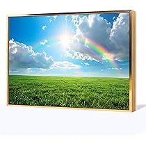 Amazon.co.jp: 絵画 虹色の青い空と草原の白い雲 アートパネル