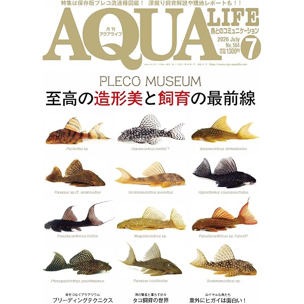 アクアライフ 2026年3月号 (2026-02-17) [雑誌] | エムピージェー
