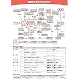 下敷き（有機化学の反応系統図） B5 数研グッズ