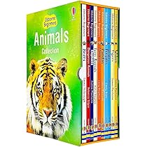 Usborne Beginners Our World : Usborne: Amazon.com.au: Books
