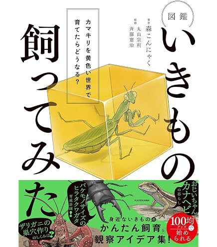 Amazon.co.jp: insectech 桐製標本箱：小型（ガラス蓋） : おもちゃ