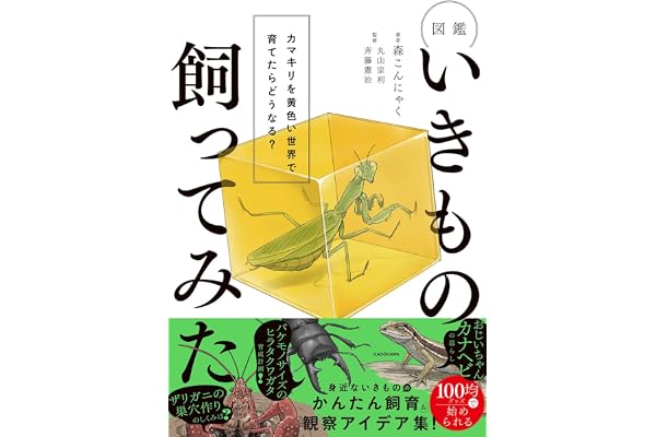 図鑑いきもの飼ってみた カマキリを黄色い世界で育てたらどうなる?