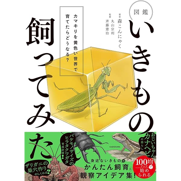 むし岡だいきの「世界の昆虫」おった！図鑑 虫好きキッズが夢中になる