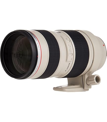 Canon EF 70-200mm f/2.8L IS III USM : CANON: Amazon.sg: Electronics