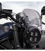 Amazon | デイトナ(Daytona) レブル1100/DCT(21-23)専用 スクリーン