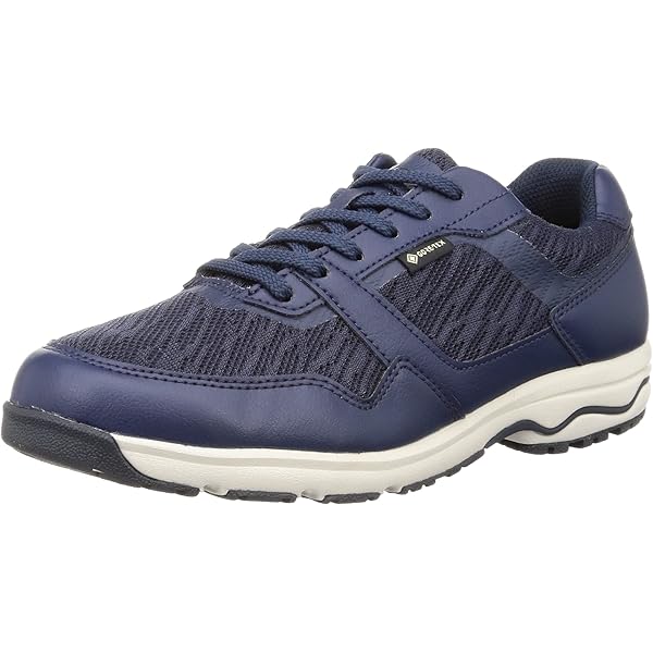 MIZUNO - ミズノ ウエーブエボーク GTX(ウォーキング／ゴアテックス／防水) 27cm ミズノ ウエーブエボーク GTX(ウォーキング／ゴアテックス／防水