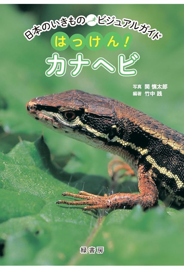 Amazon.co.jp: かなへび (かがくのとも絵本) : 竹中 践, 石森 愛彦: 本