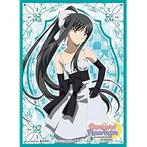 カードスリーブ　カーニバルファンタズム　セイバー Amazon | エンスカイ(ENSKY) きゃらスリーブコレクション