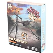 確認用　南米　陶芸　恐竜　プテラノドン　ハンドメイド 確認用 南米 陶芸 恐竜 プテラノドン ハンドメイド 確認用南米