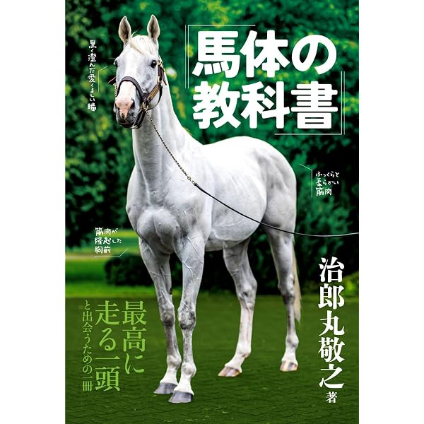 ゴールドシップ写真集 駿夏秋冬 | 競馬王編集部 |本 | 通販 | Amazon