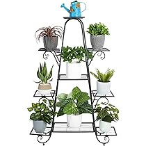 植物棚　アイアンプランタースタンド　アガベ 3c25070b3f04e5f2dc5e0fc690a46a