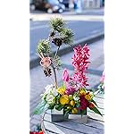 お正月 QHD(540×960)壁紙 迎春アレンジメント 正月アレンジメント お正月 QHD(540×960)壁紙 迎春アレンジメント 正月アレンジメント