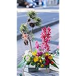 お正月 iPhone SE/8/7/6s(750×1334)壁紙 迎春アレンジメント 正月アレンジメント お正月 iPhone SE/8/7/6s(750×1334)壁紙 迎春アレンジメント 正月アレンジメント