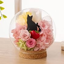 Amazon｜Ruplan 猫 プリザーブドフラワー ギフト ガラスドーム