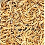 ミルワーム 爬虫類用 10g 2cm〜3.5cmサイズ