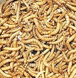 小ミルワーム 25g・50g・100g・200g ・500g 1.5cm〜2.5cm 死着補償 (200g 対面受取)