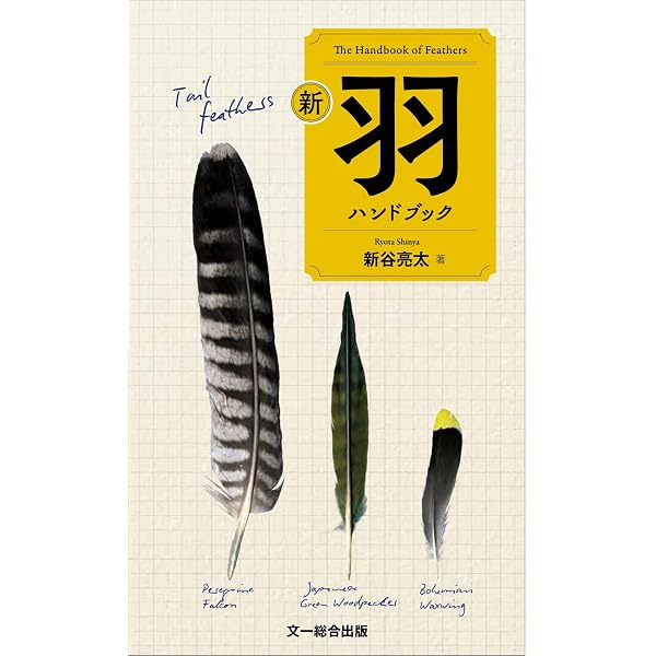 ゲンゴロウ類の生態学（環境Eco選書18） | 大庭伸也 |本 | 通販 | Amazon